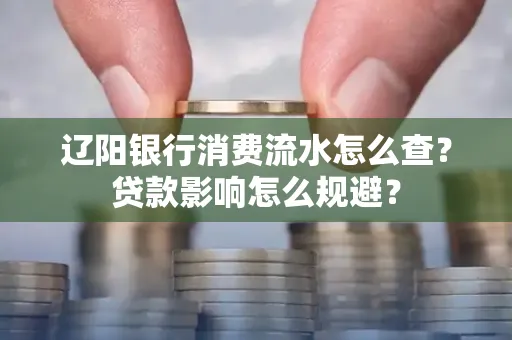 辽阳银行消费流水怎么查？贷款影响怎么规避？