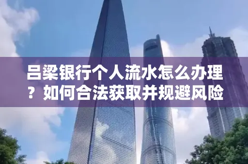 吕梁银行个人流水怎么办理？如何合法获取并规避风险？