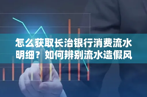 怎么获取长治银行消费流水明细?如何辨别流水造假风险?