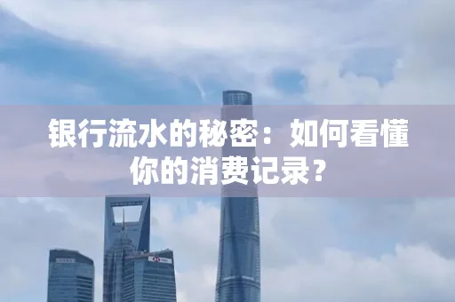 银行流水的秘密:如何看懂你的消费记录?