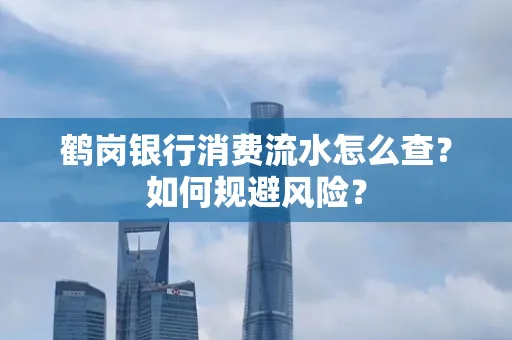 鹤岗银行消费流水怎么查?如何规避风险?