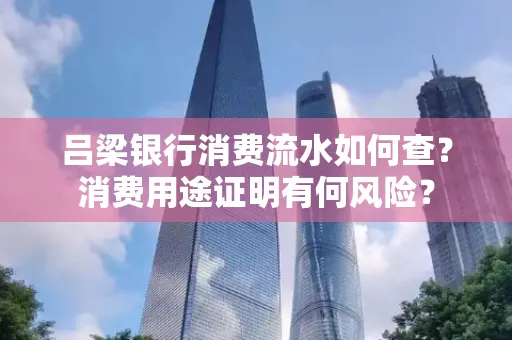 吕梁银行消费流水如何查?消费用途证明有何风险?