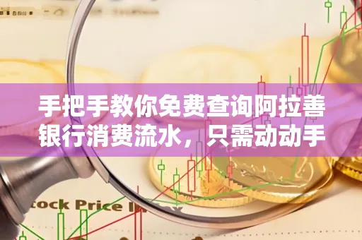 手把手教你免费查询阿拉善银行消费流水,只需动动手指就能完成