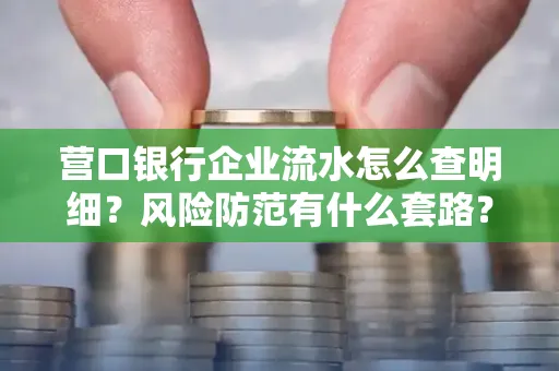 营口银行企业流水怎么查明细?风险防范有什么套路?