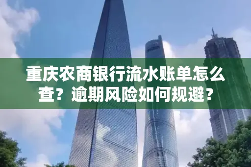 重庆农商银行流水账单怎么查?逾期风险如何规避?
