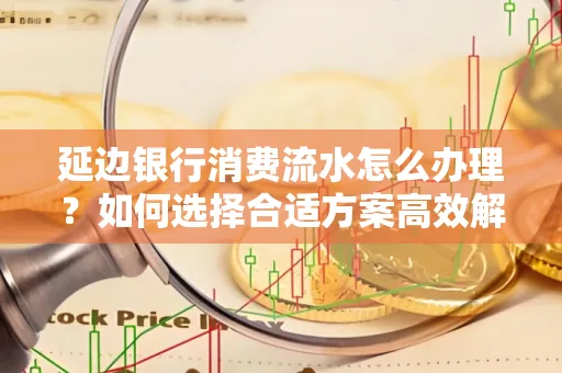 延边银行消费流水怎么办理?如何选择合适方案高效解决?